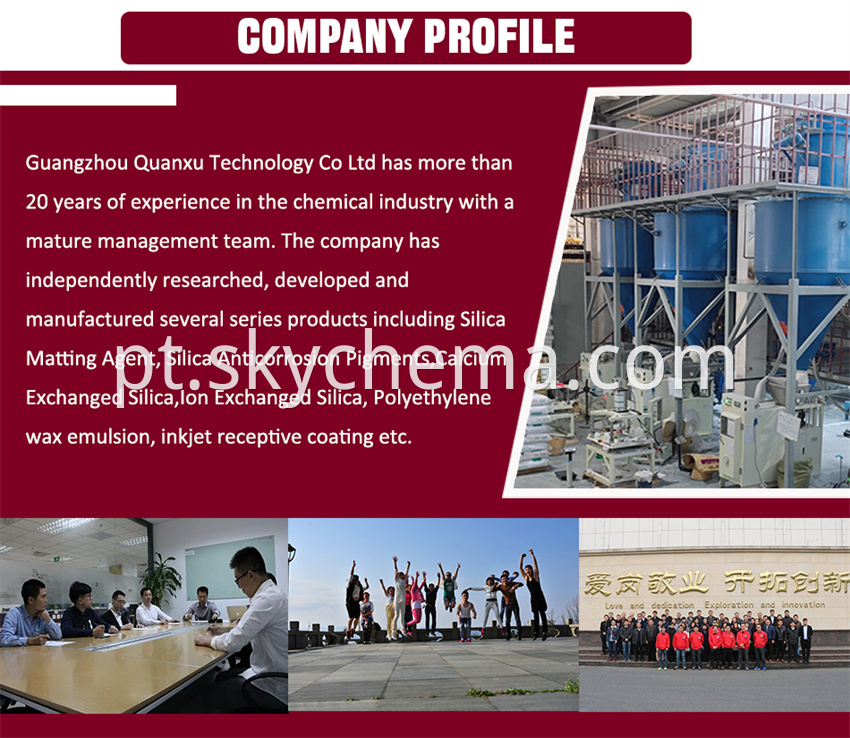 Company Profile